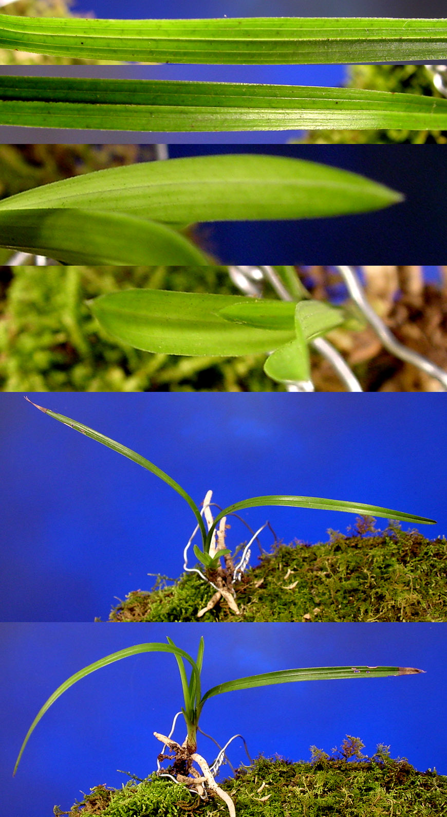 ������ ū������ �� �� �ֽ��ϴ�.