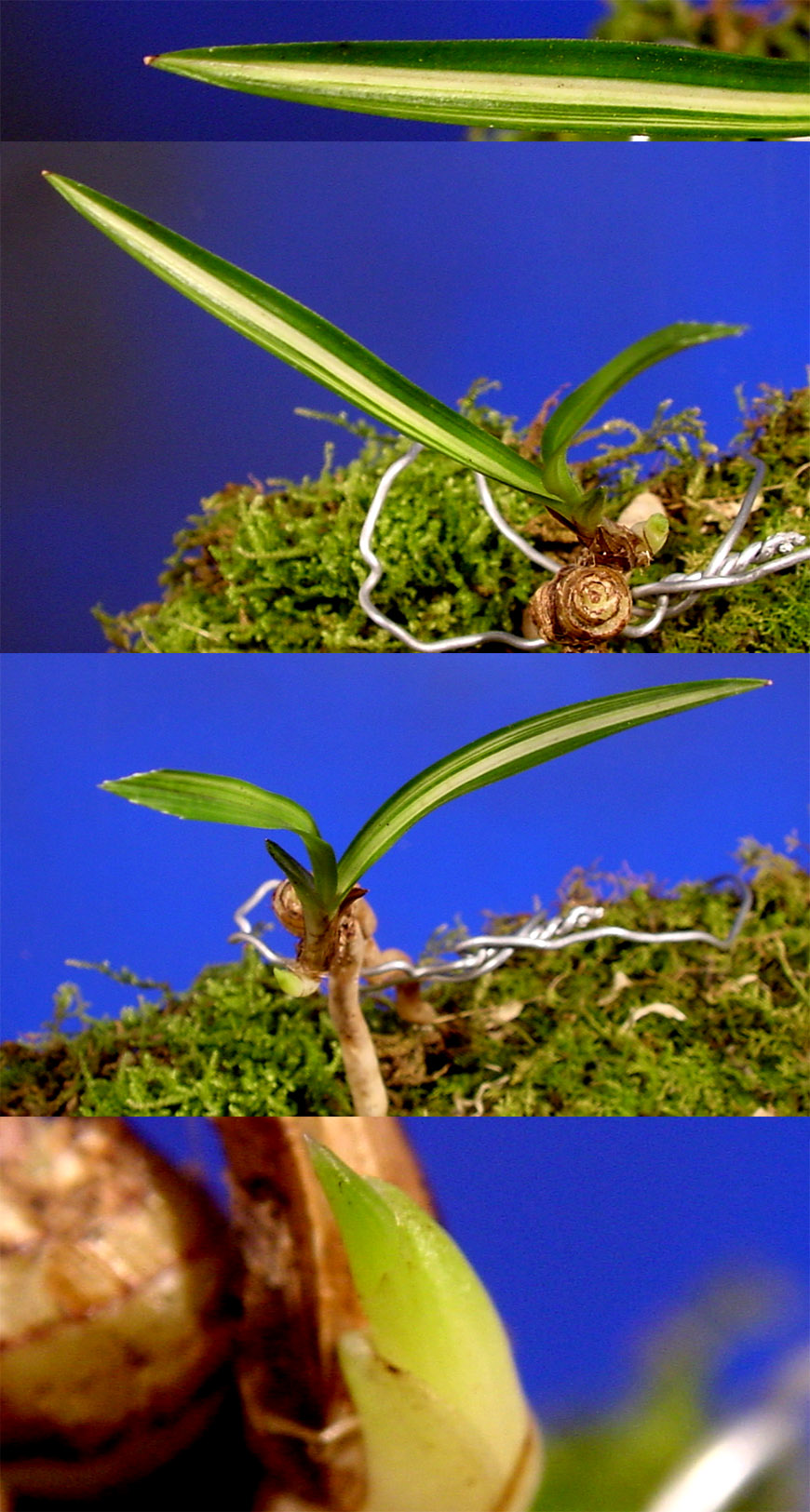 ������ ū������ �� �� �ֽ��ϴ�.