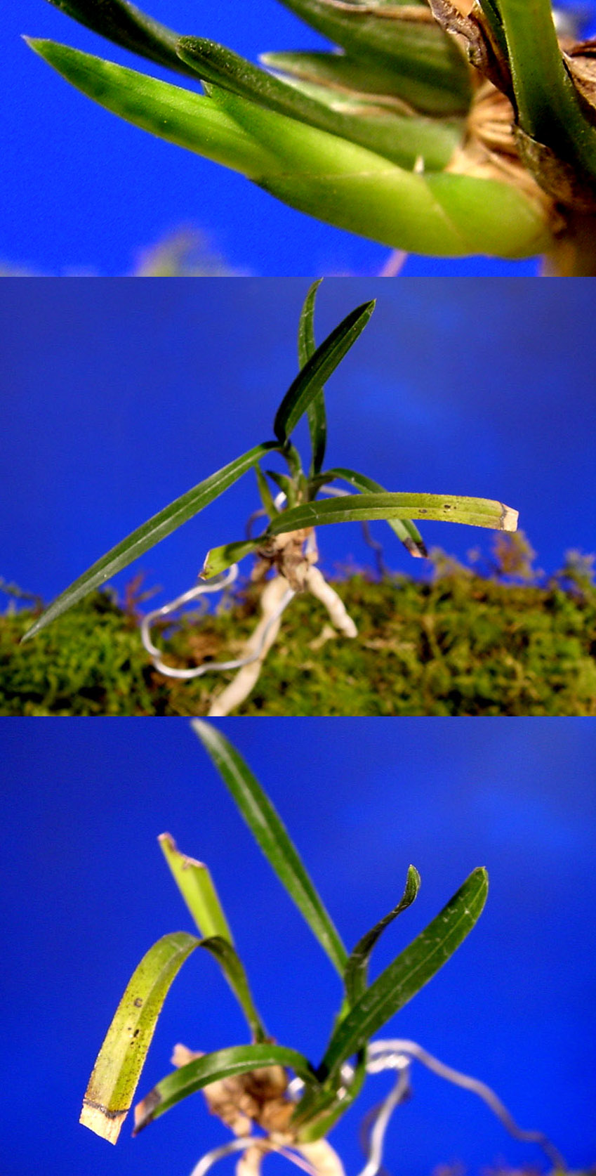 ������ ū������ �� �� �ֽ��ϴ�.