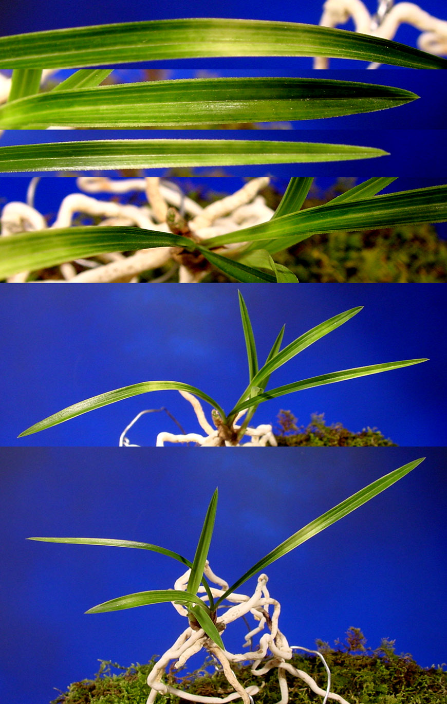 ������ ū������ �� �� �ֽ��ϴ�.