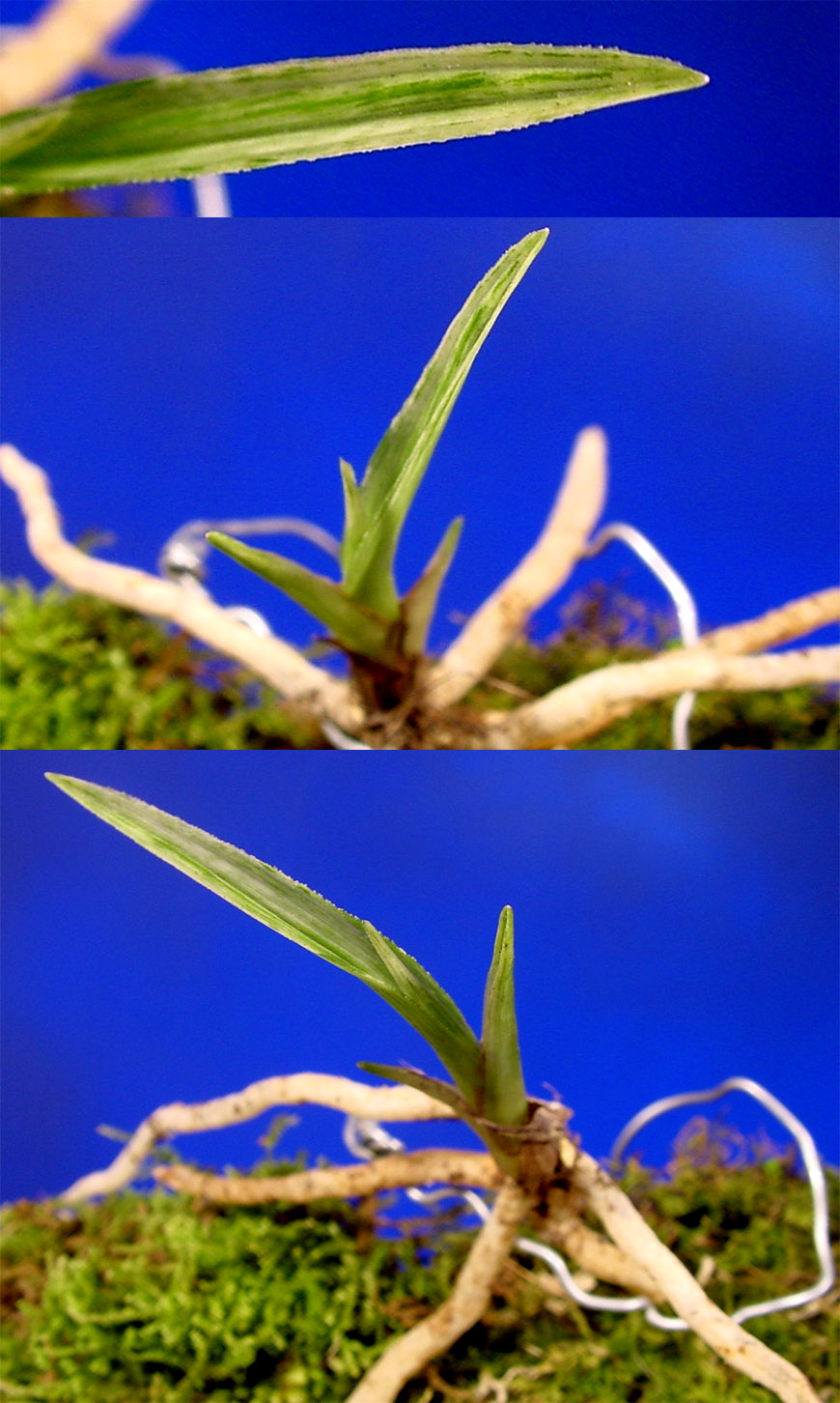 ������ ū������ �� �� �ֽ��ϴ�.