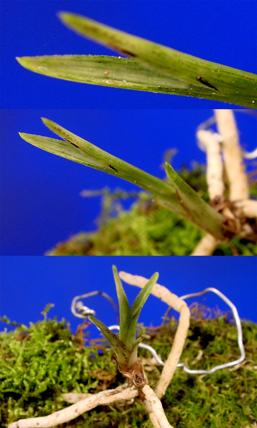 ������ ū������ �� �� �ֽ��ϴ�.