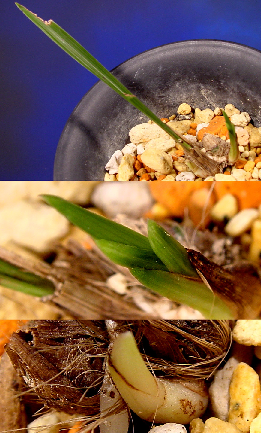 ������ ū������ �� �� �ֽ��ϴ�.