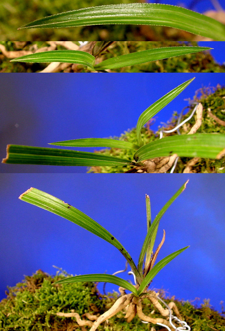 ������ ū������ �� �� �ֽ��ϴ�.