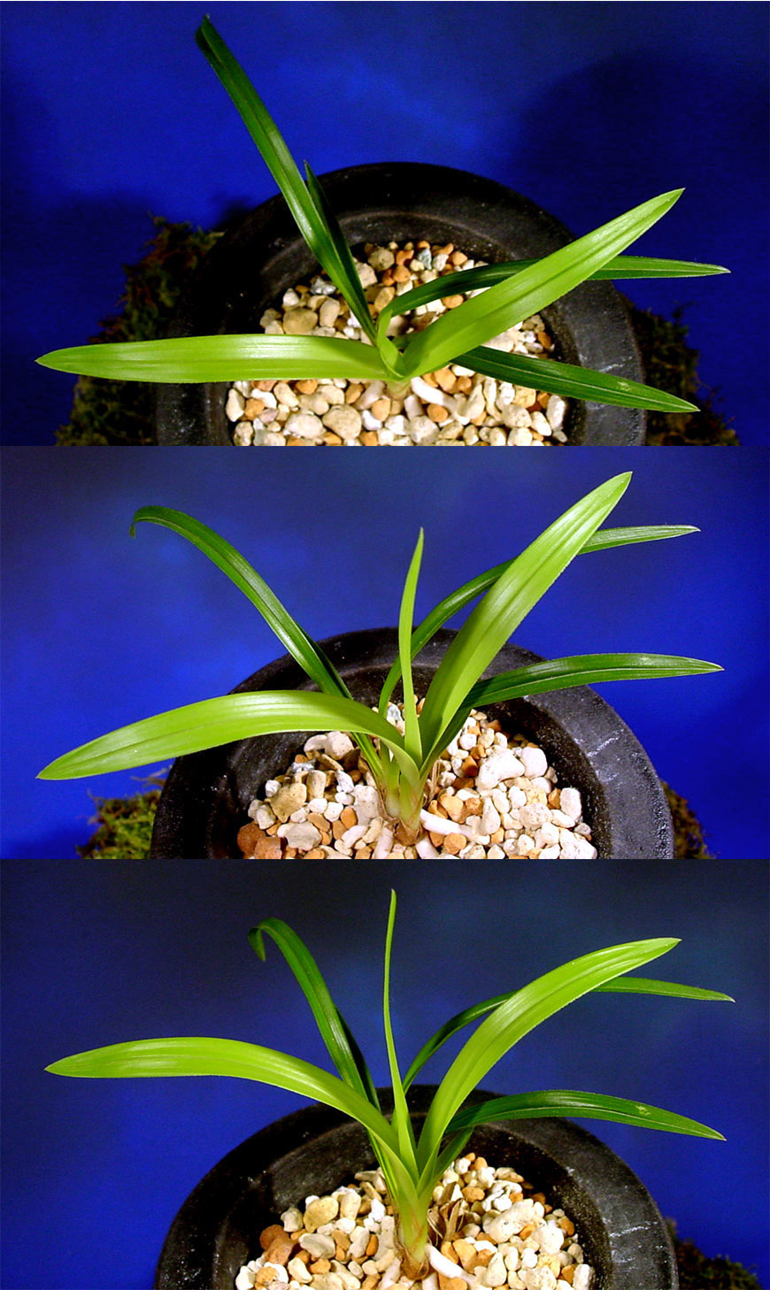 ������ ū������ �� �� �ֽ��ϴ�.