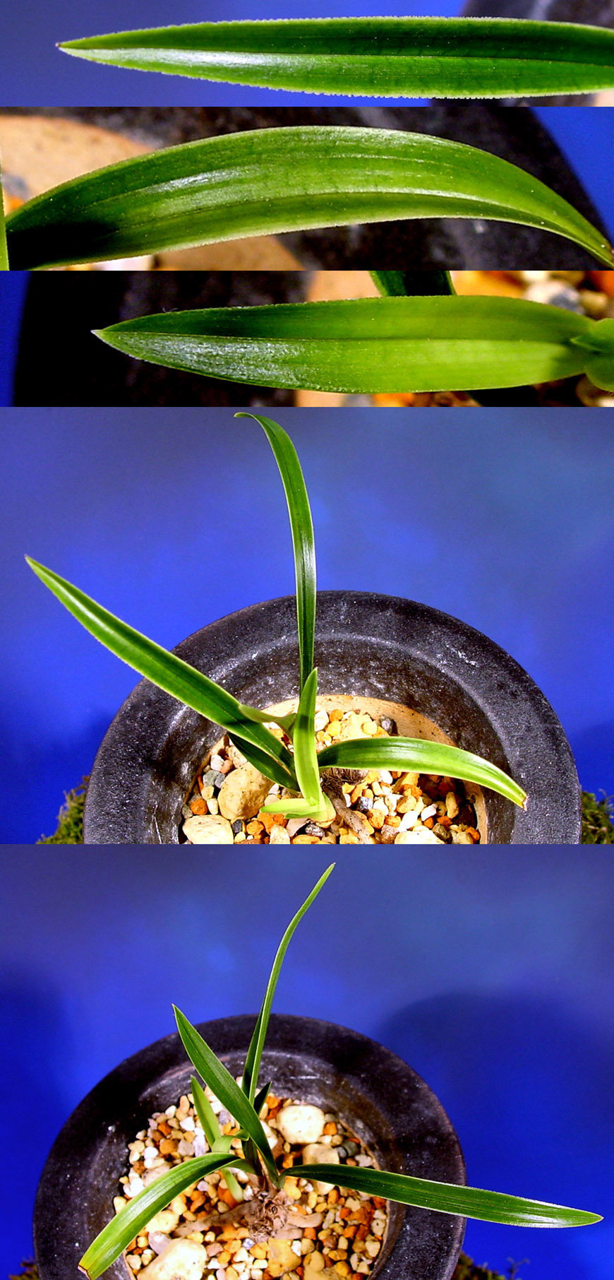 ������ ū������ �� �� �ֽ��ϴ�.