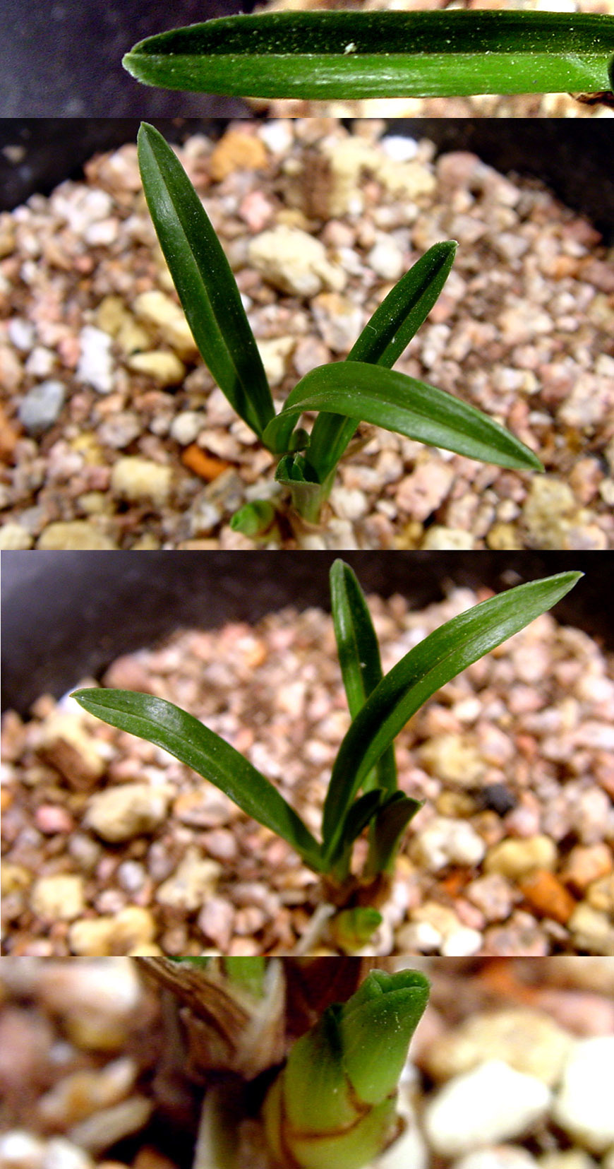 ������ ū������ �� �� �ֽ��ϴ�.