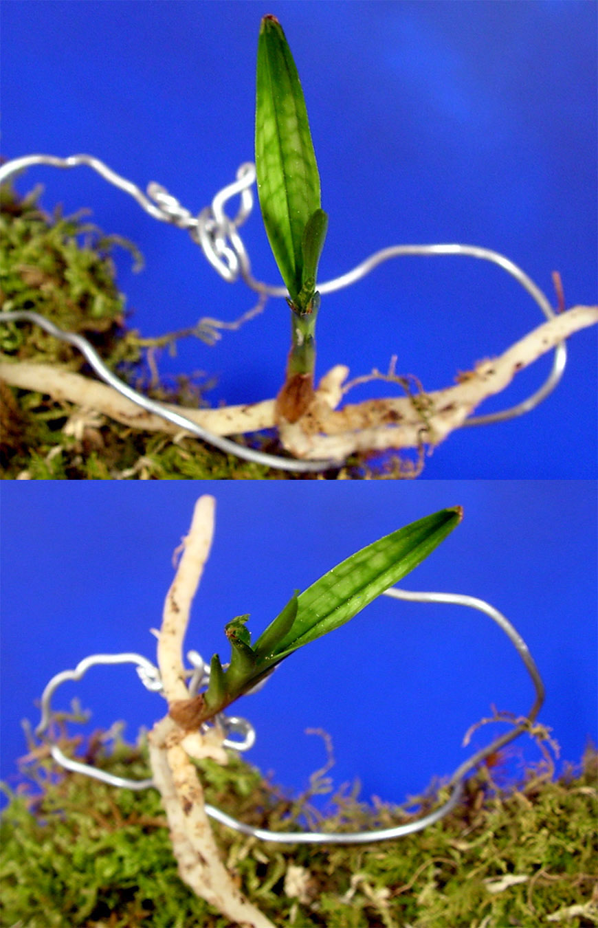 ������ ū������ �� �� �ֽ��ϴ�.