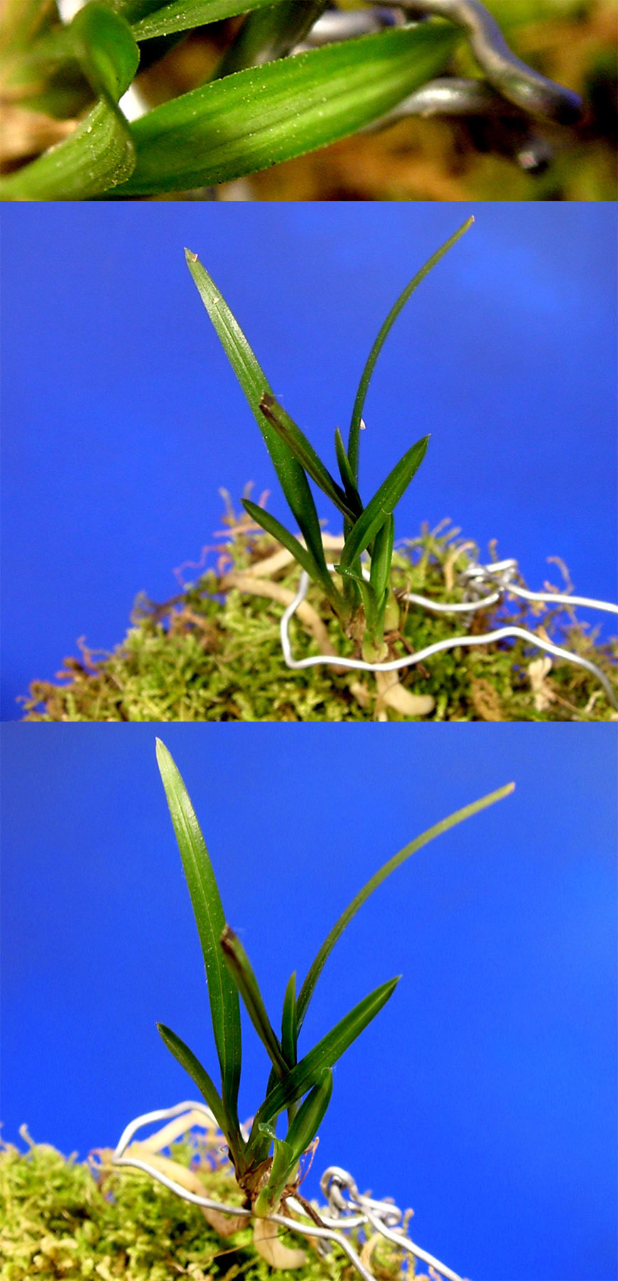 ������ ū������ �� �� �ֽ��ϴ�.