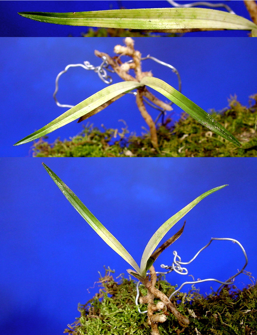 ������ ū������ �� �� �ֽ��ϴ�.