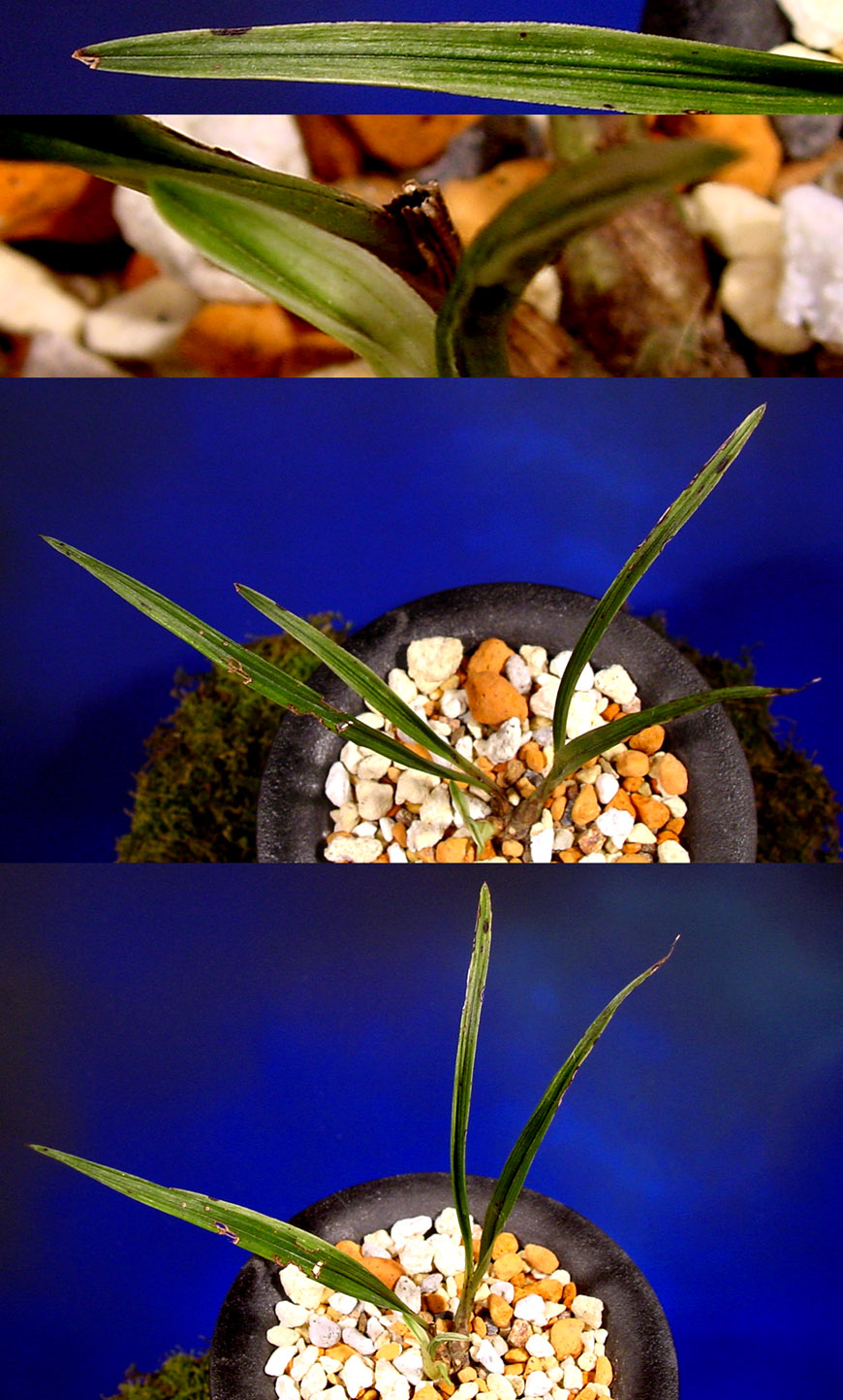 ������ ū������ �� �� �ֽ��ϴ�.