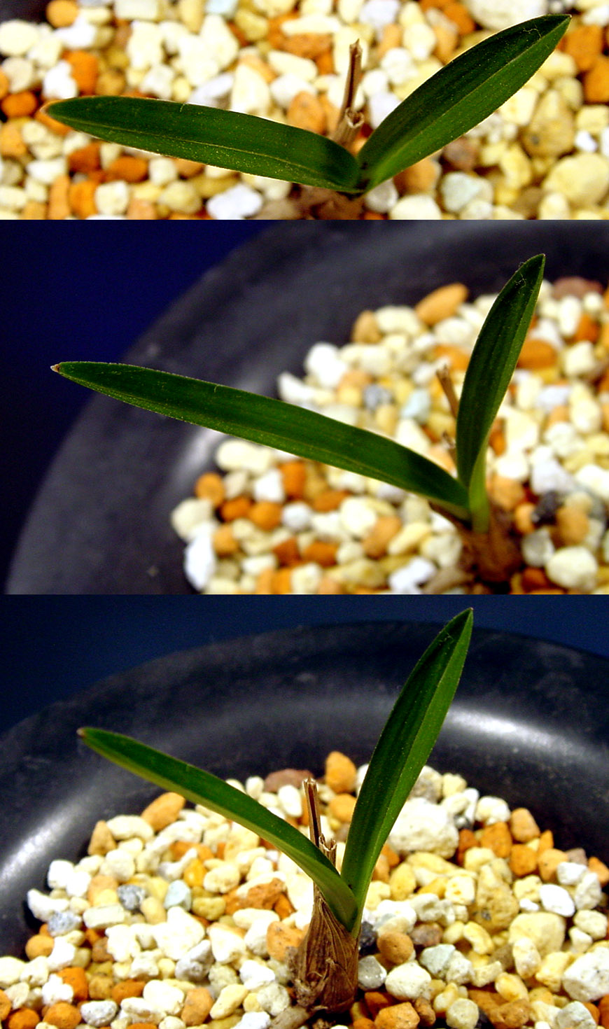 ������ ū������ �� �� �ֽ��ϴ�.