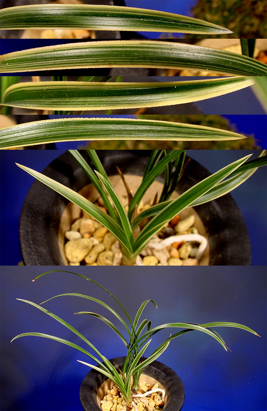 ������ ū������ �� �� �ֽ��ϴ�.