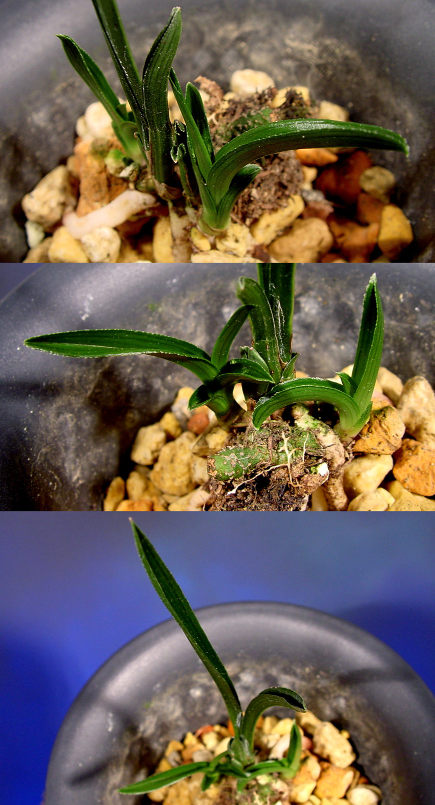 ������ ū������ �� �� �ֽ��ϴ�.