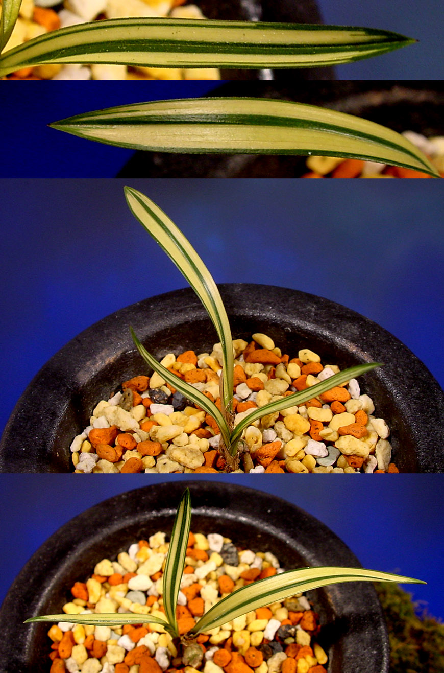 ������ ū������ �� �� �ֽ��ϴ�.