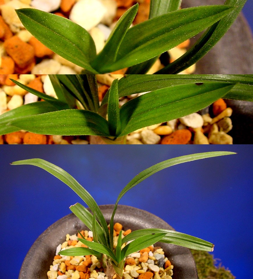 ������ ū������ �� �� �ֽ��ϴ�.