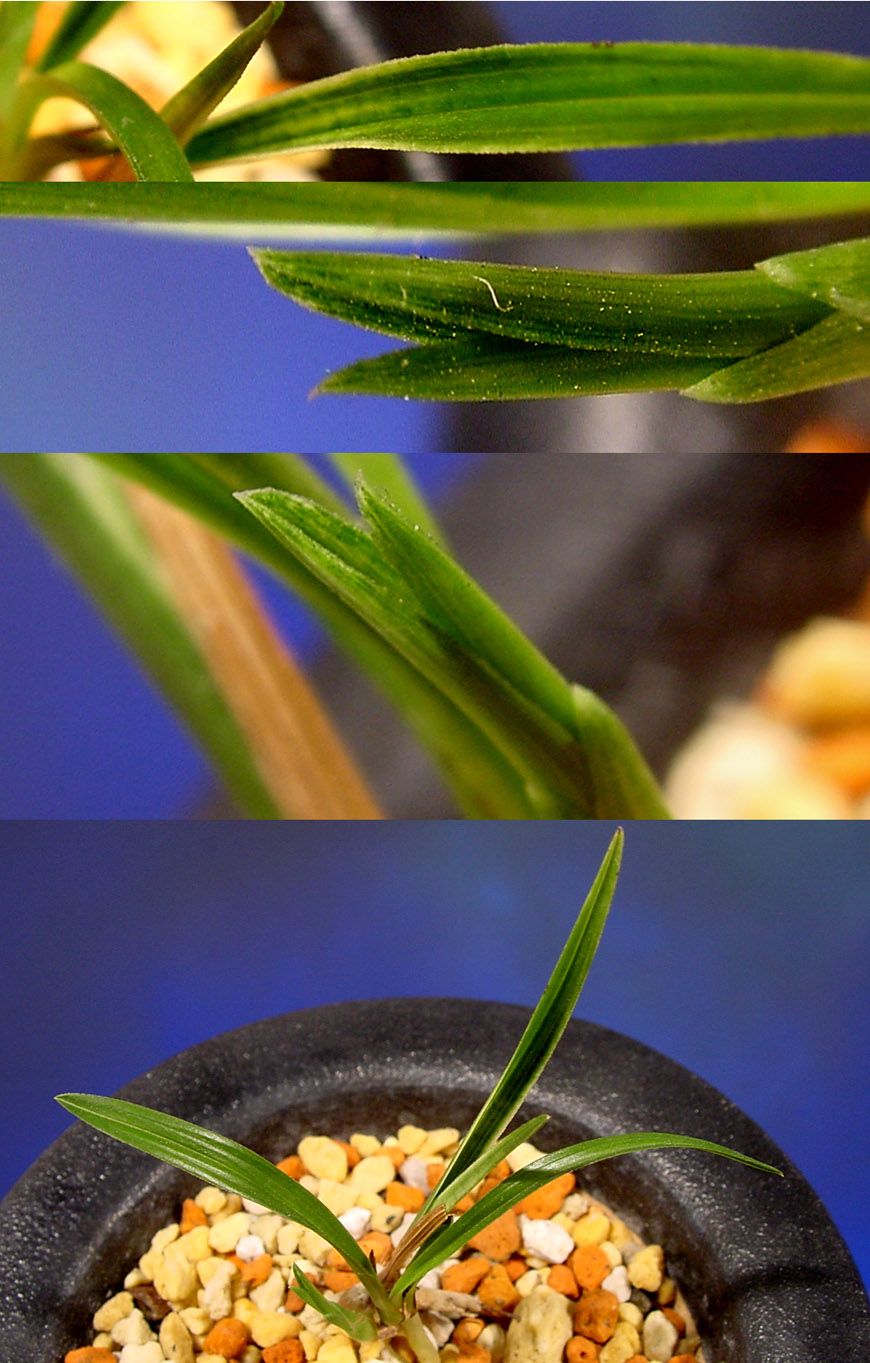 ������ ū������ �� �� �ֽ��ϴ�.