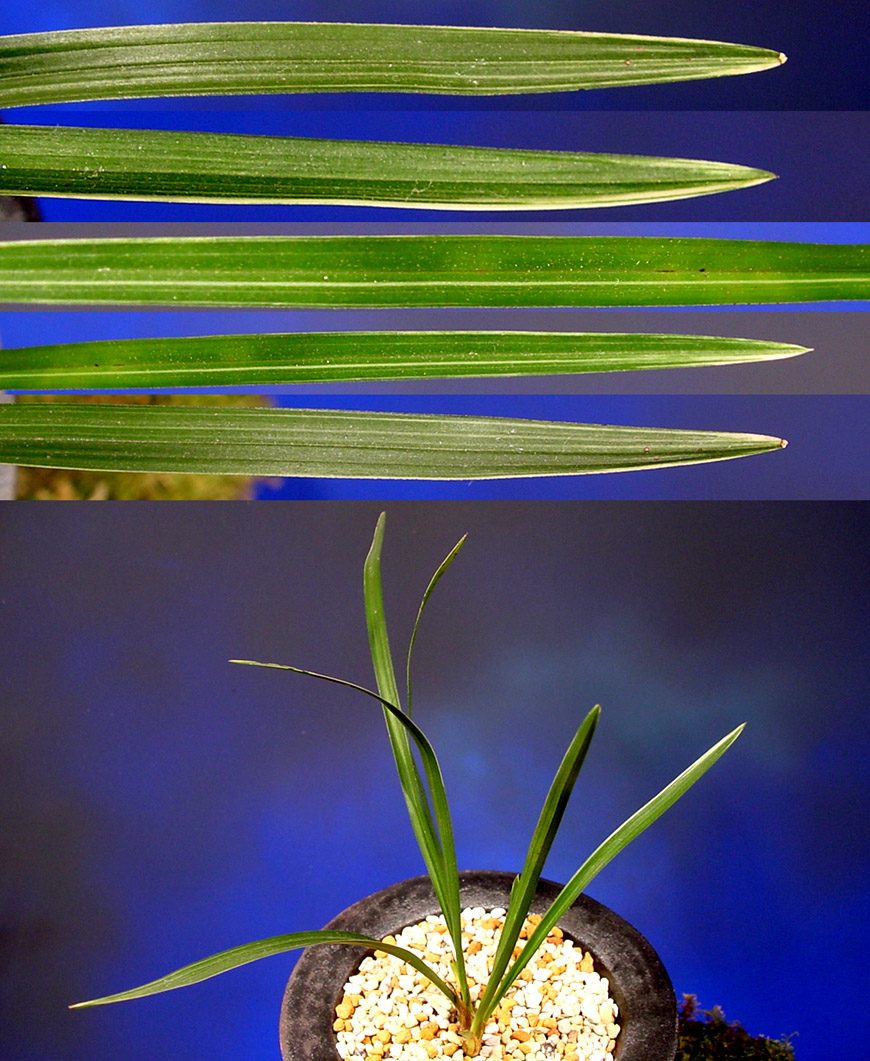 ������ ū������ �� �� �ֽ��ϴ�.