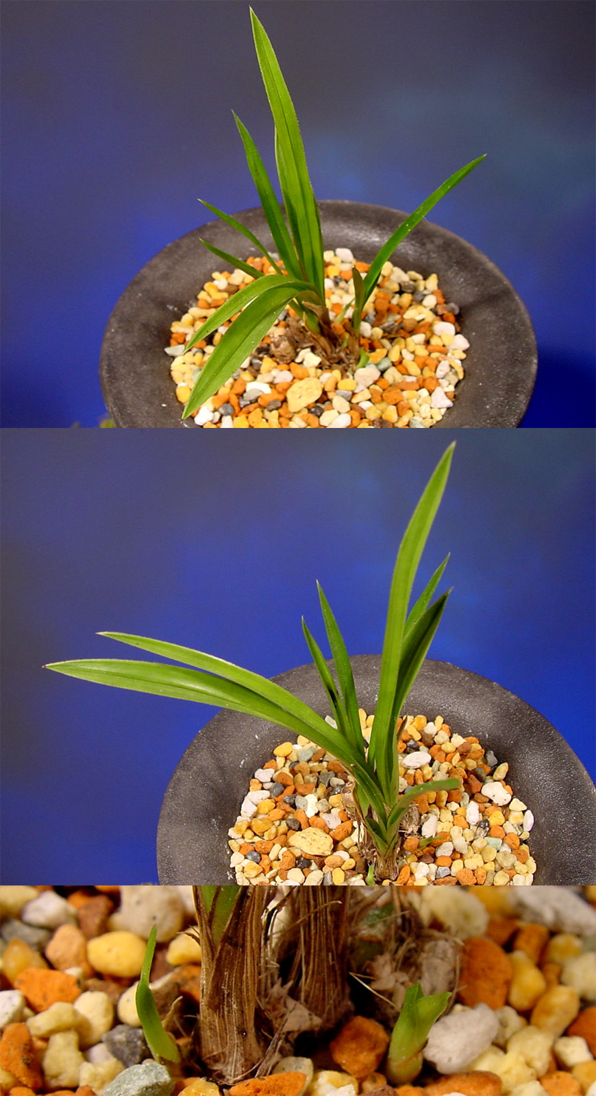 ������ ū������ �� �� �ֽ��ϴ�.