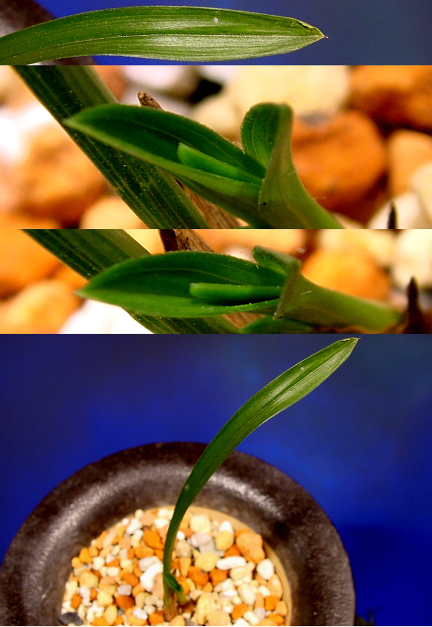 ������ ū������ �� �� �ֽ��ϴ�.