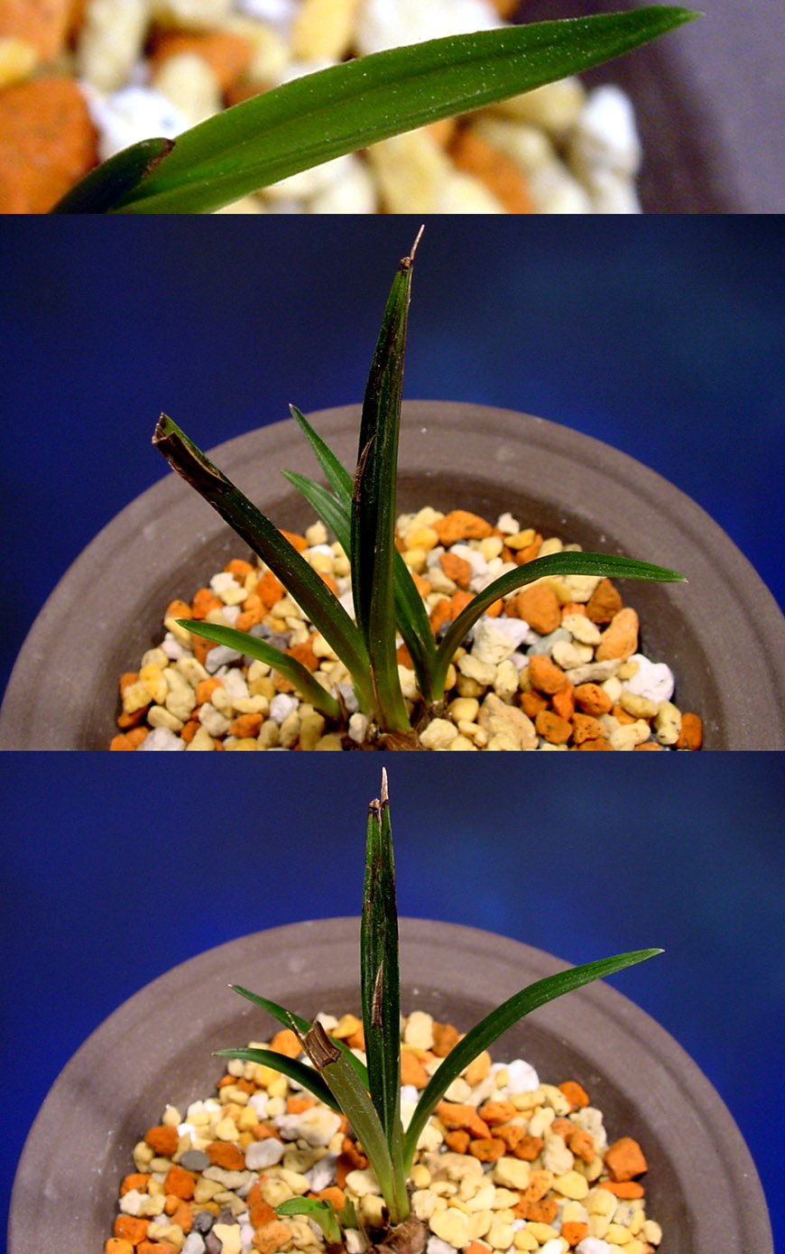 ������ ū������ �� �� �ֽ��ϴ�.