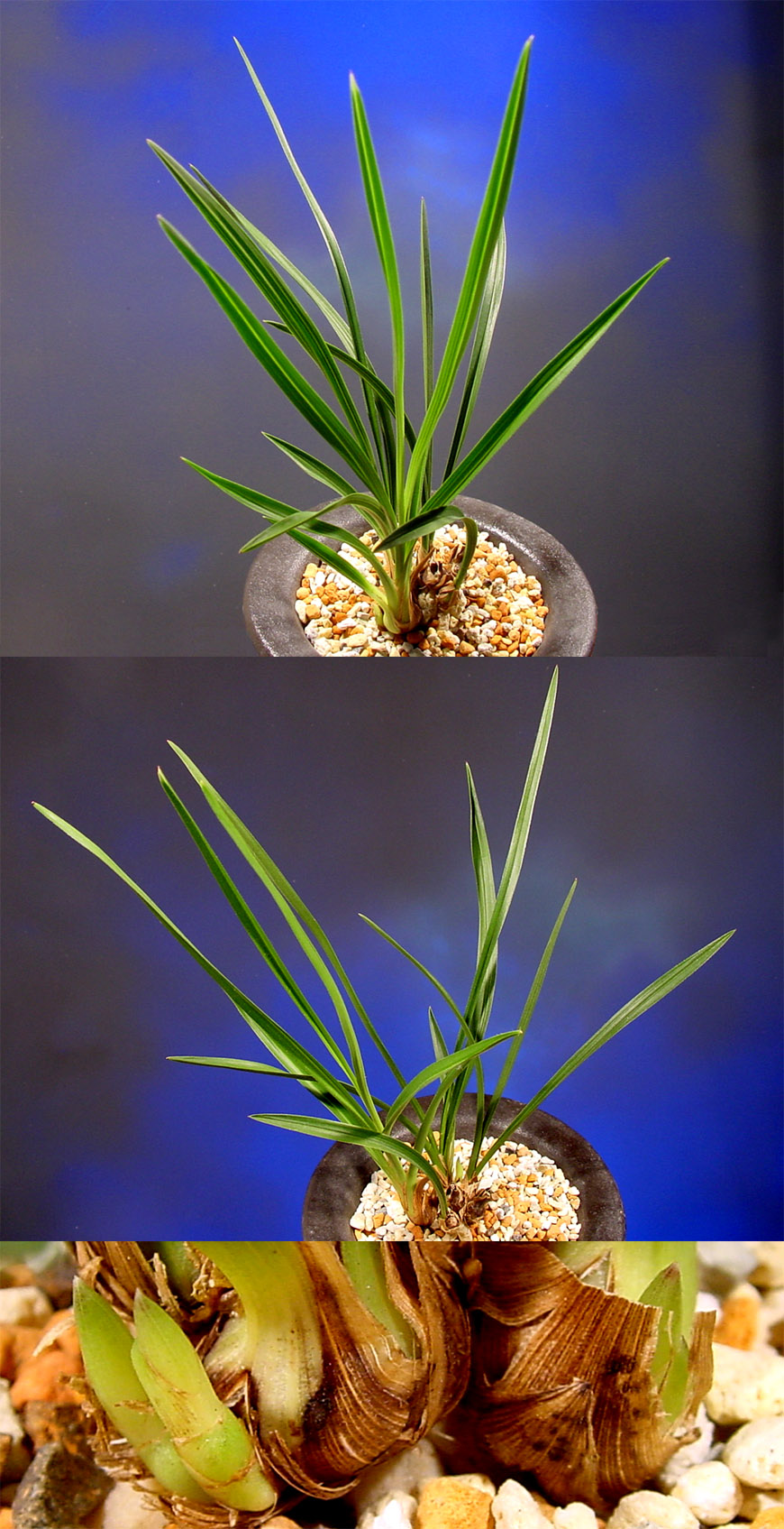 ������ ū������ �� �� �ֽ��ϴ�.