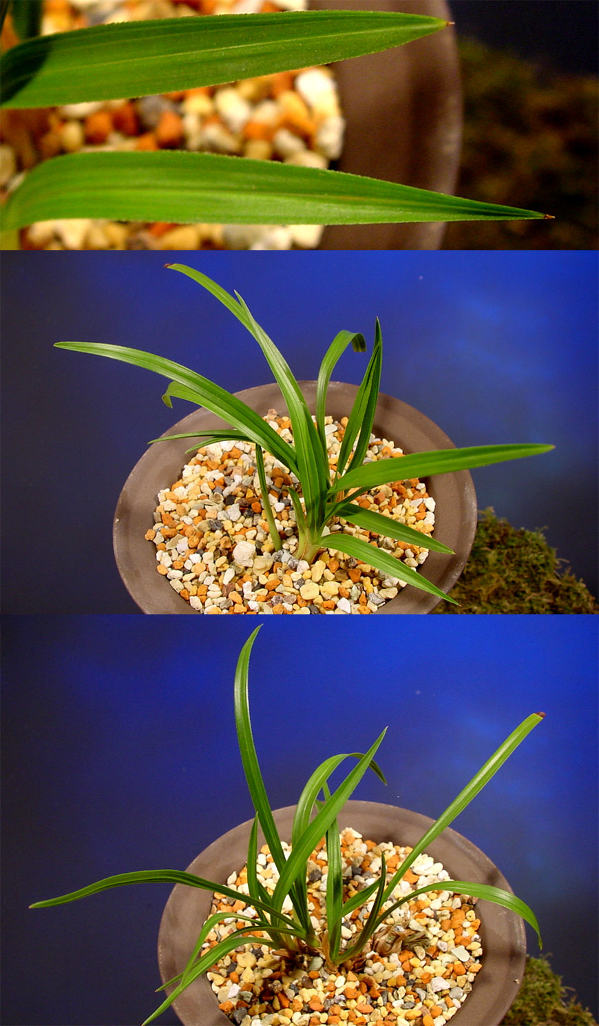 ������ ū������ �� �� �ֽ��ϴ�.