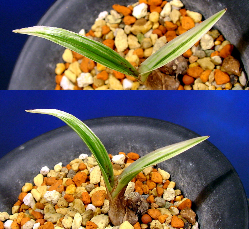 ������ ū������ �� �� �ֽ��ϴ�.