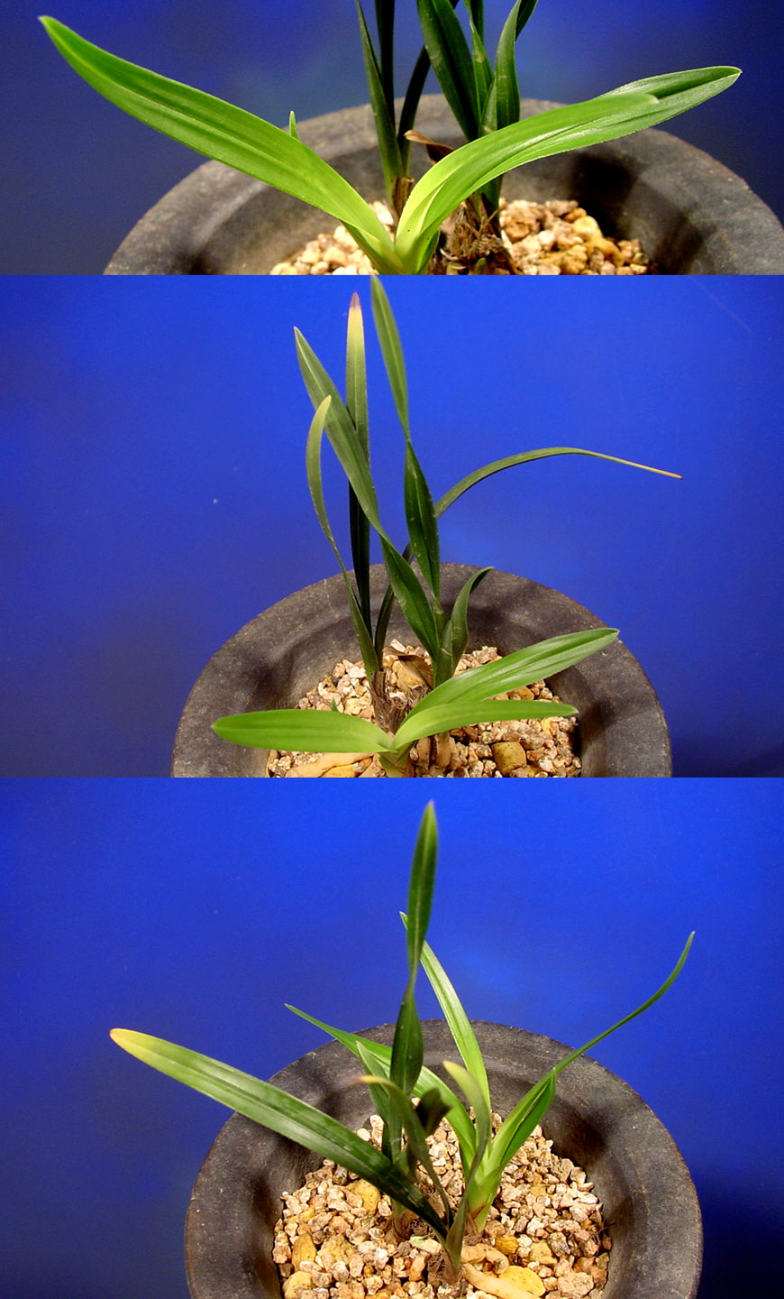 ������ ū������ �� �� �ֽ��ϴ�.