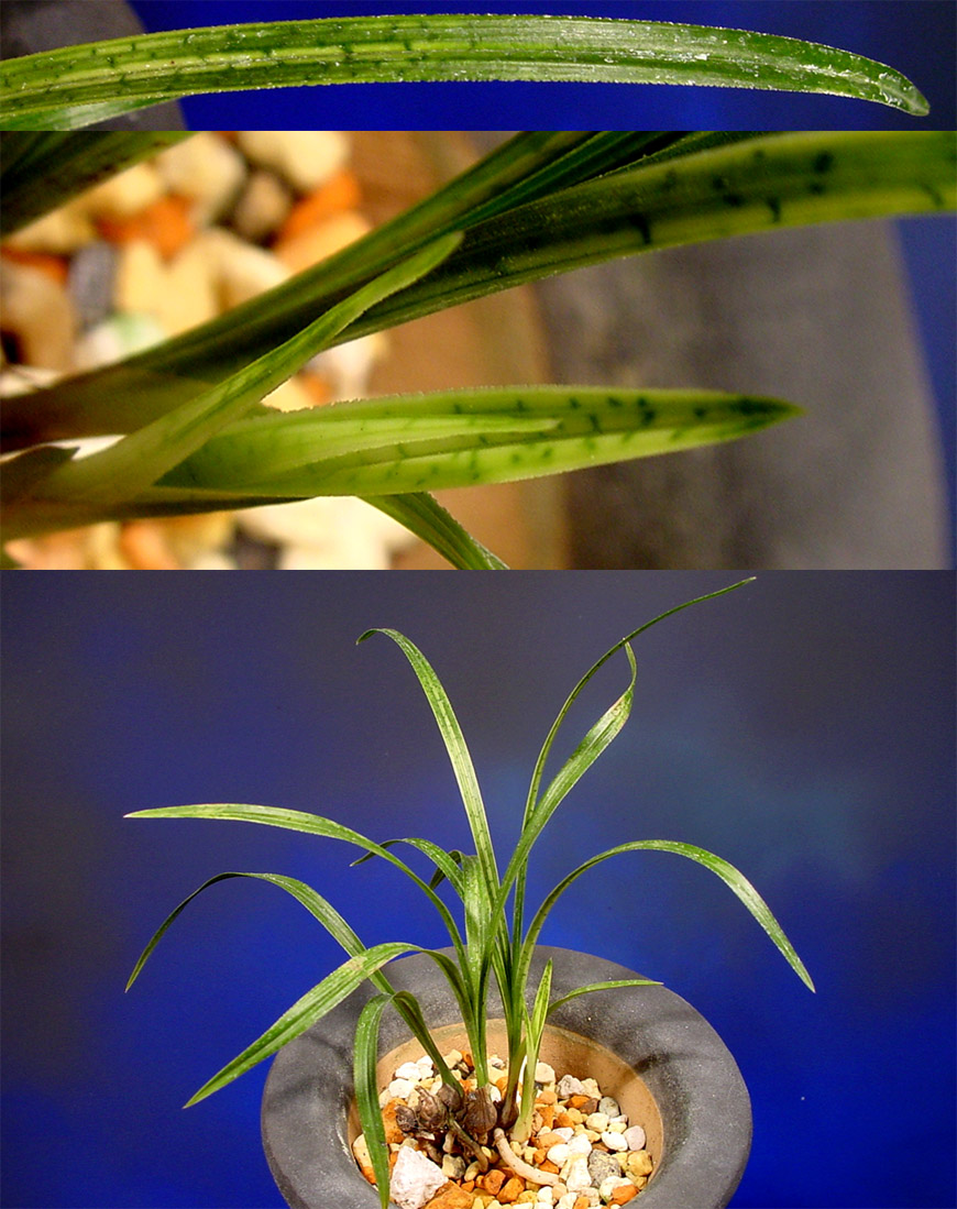 ������ ū������ �� �� �ֽ��ϴ�.