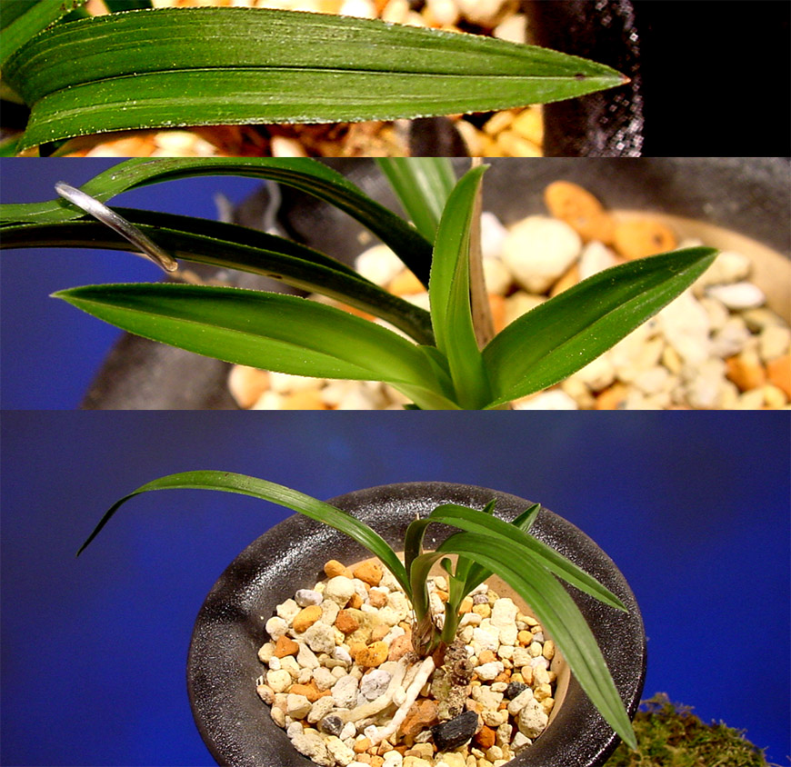 ������ ū������ �� �� �ֽ��ϴ�.