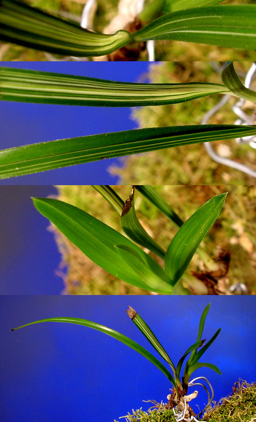 ������ ū������ �� �� �ֽ��ϴ�.