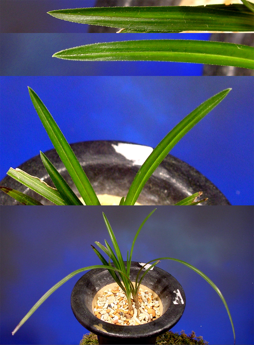 ������ ū������ �� �� �ֽ��ϴ�.