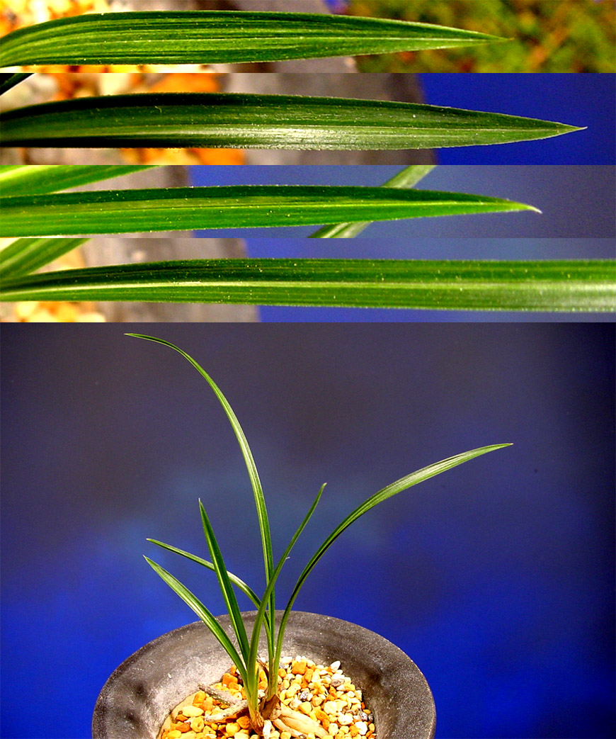 ������ ū������ �� �� �ֽ��ϴ�.