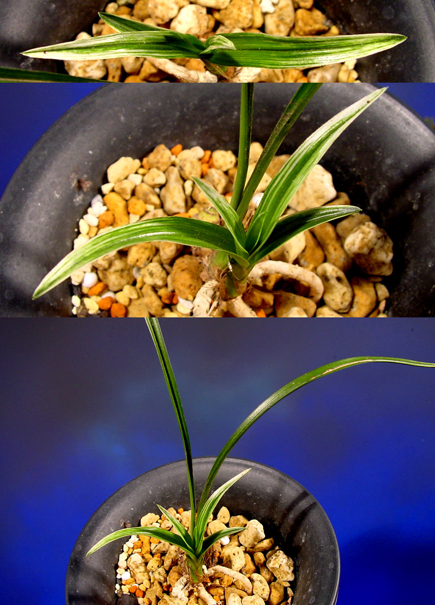 ������ ū������ �� �� �ֽ��ϴ�.