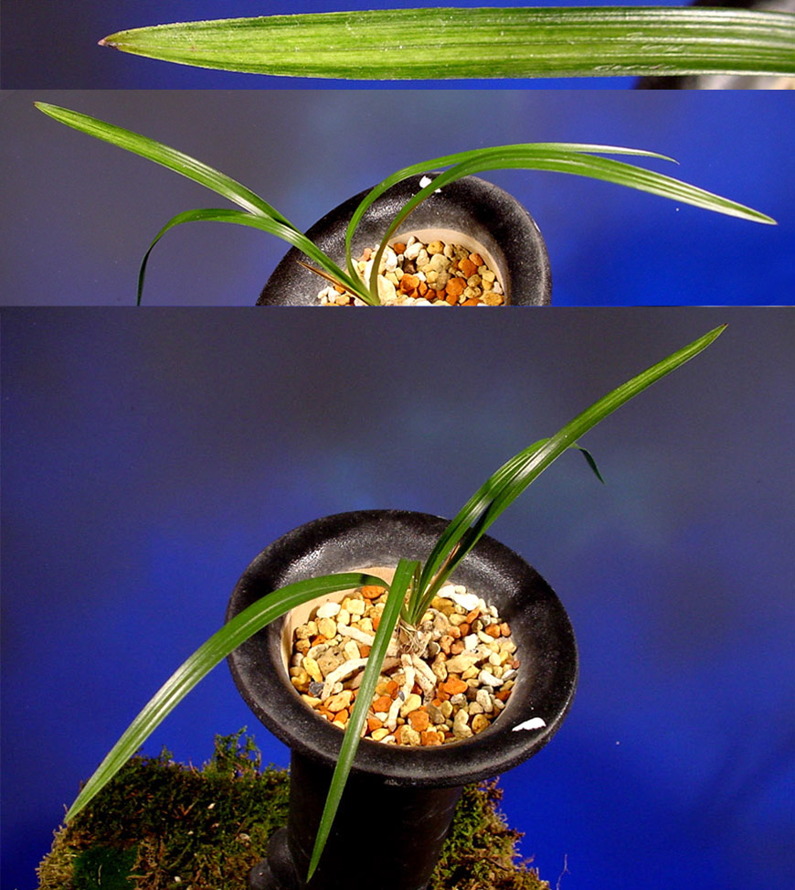 ������ ū������ �� �� �ֽ��ϴ�.