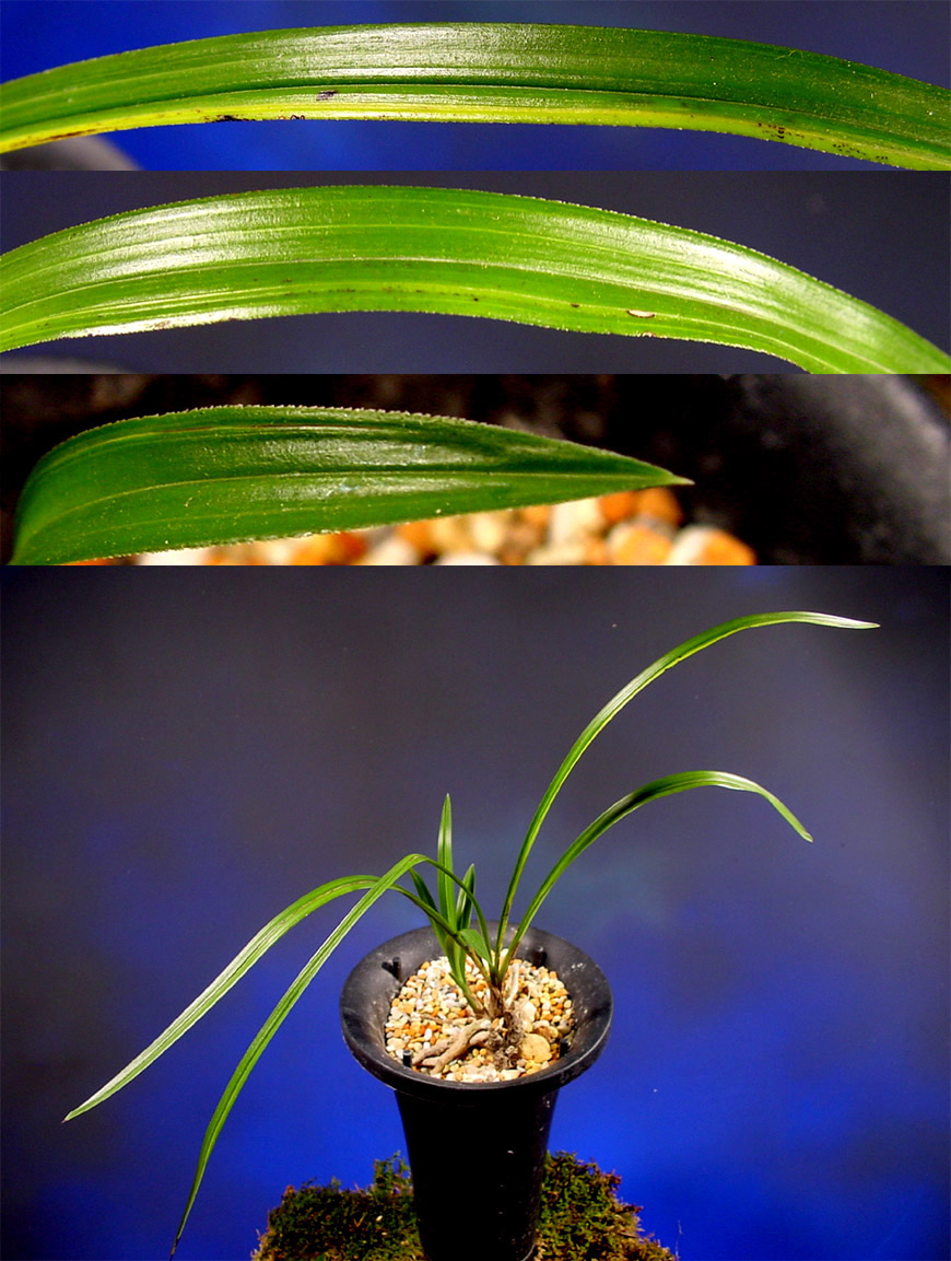 ������ ū������ �� �� �ֽ��ϴ�.