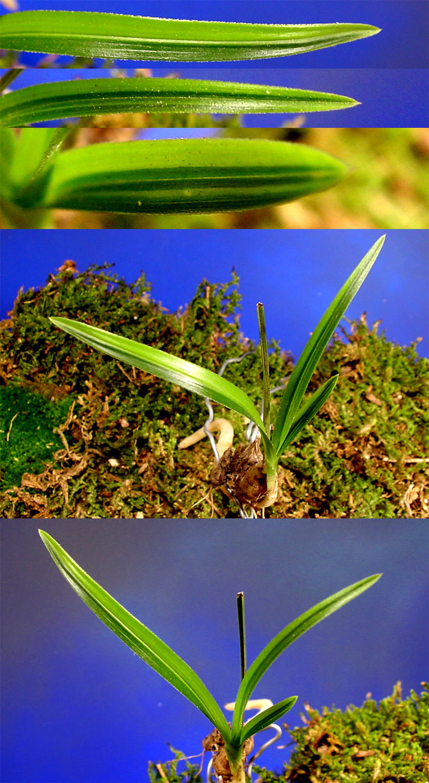 ������ ū������ �� �� �ֽ��ϴ�.