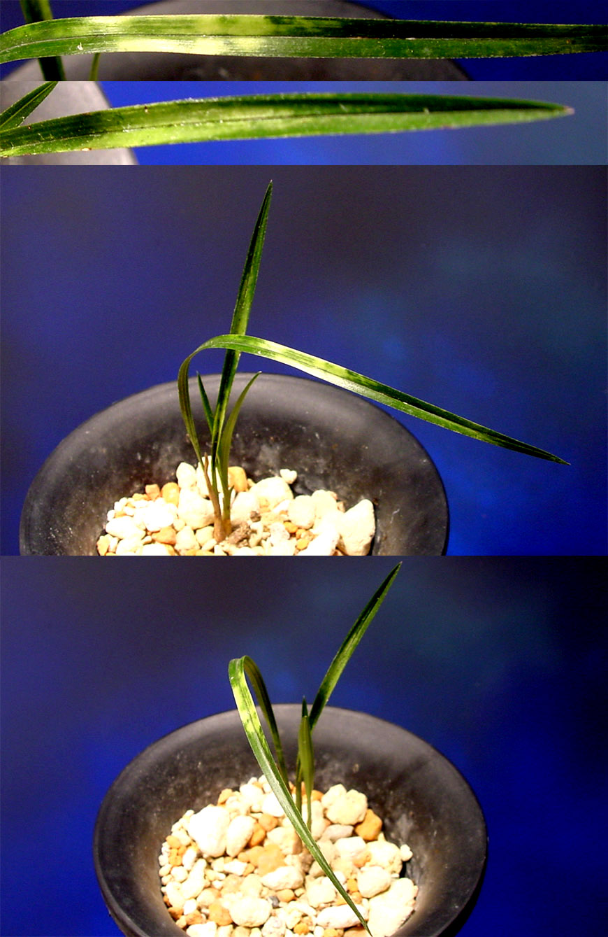 ������ ū������ �� �� �ֽ��ϴ�.