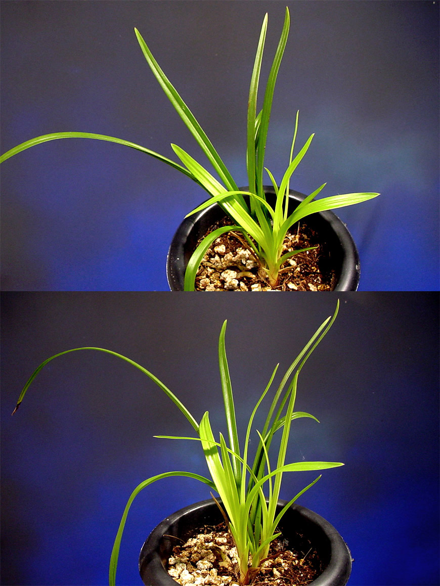 ������ ū������ �� �� �ֽ��ϴ�.