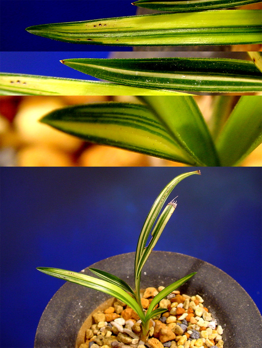 ������ ū������ �� �� �ֽ��ϴ�.