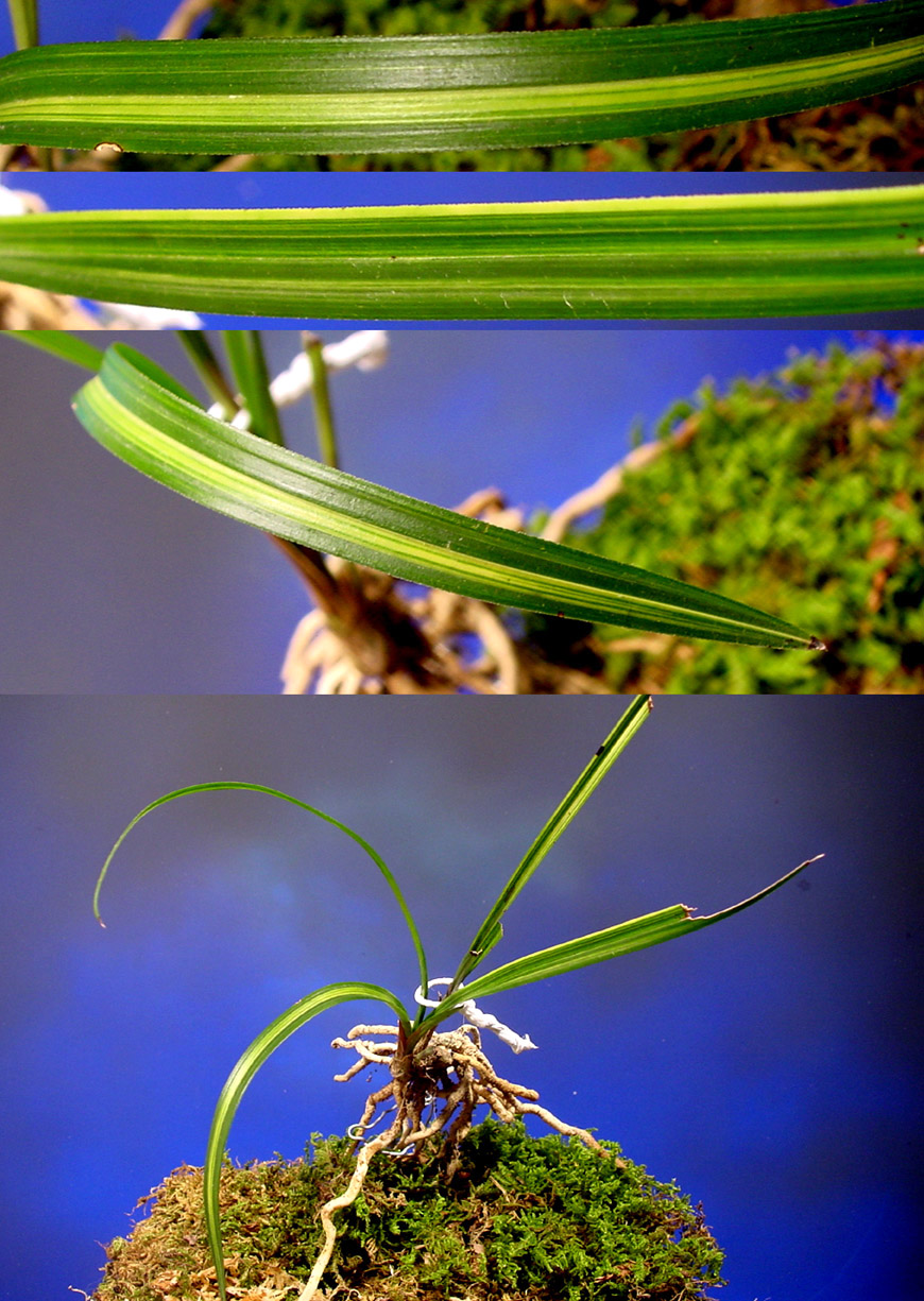 ������ ū������ �� �� �ֽ��ϴ�.