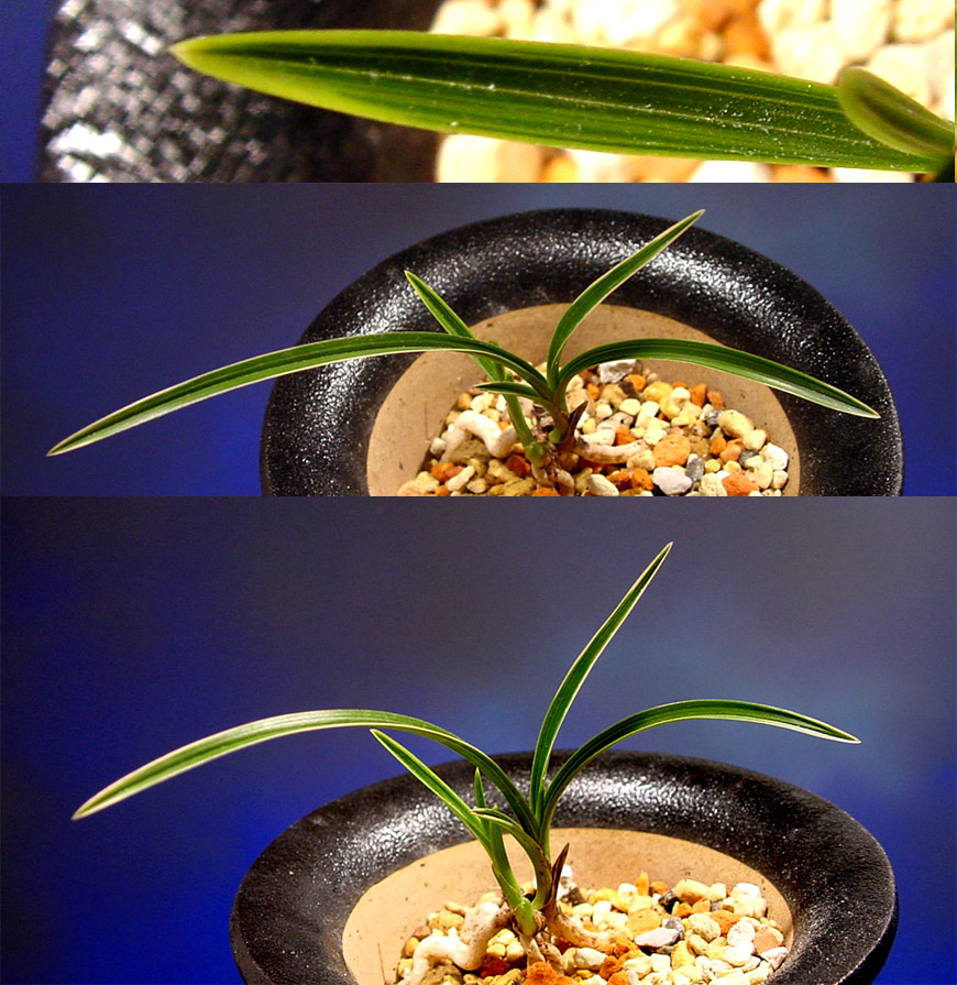 ������ ū������ �� �� �ֽ��ϴ�.