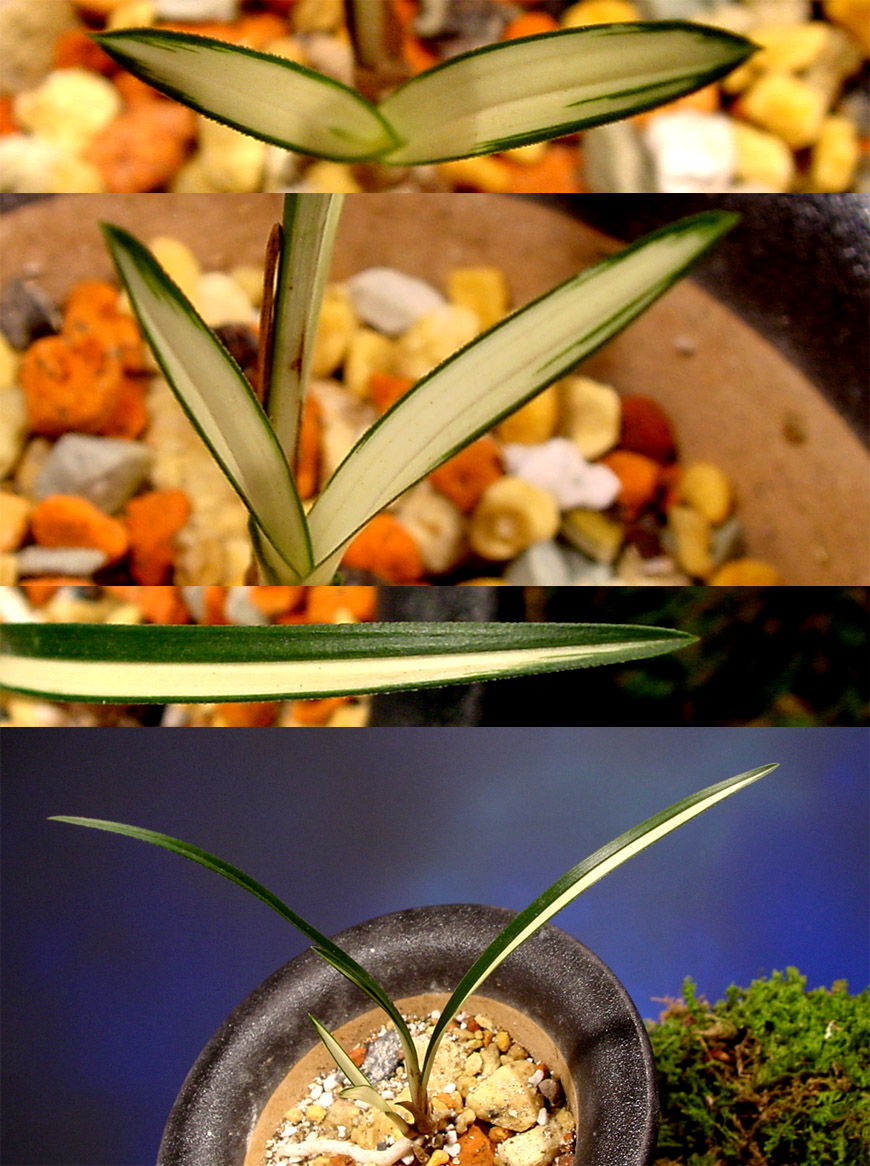 ������ ū������ �� �� �ֽ��ϴ�.