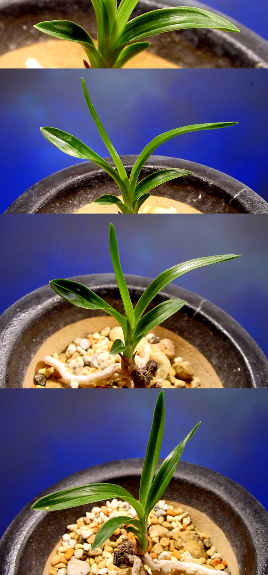 ������ ū������ �� �� �ֽ��ϴ�.