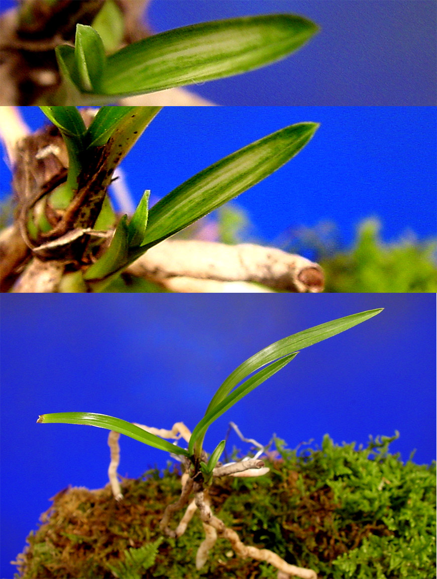 ������ ū������ �� �� �ֽ��ϴ�.