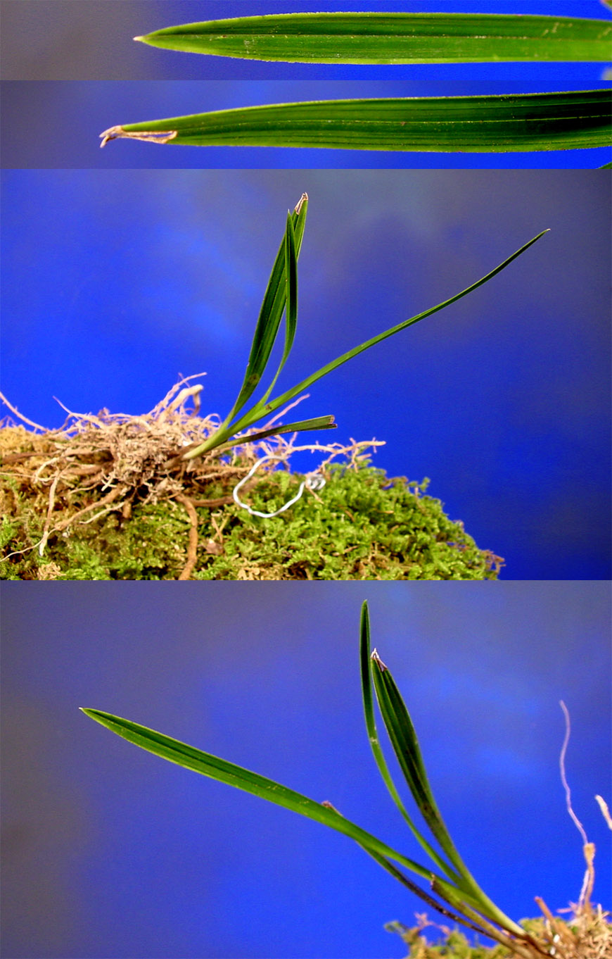 ������ ū������ �� �� �ֽ��ϴ�.