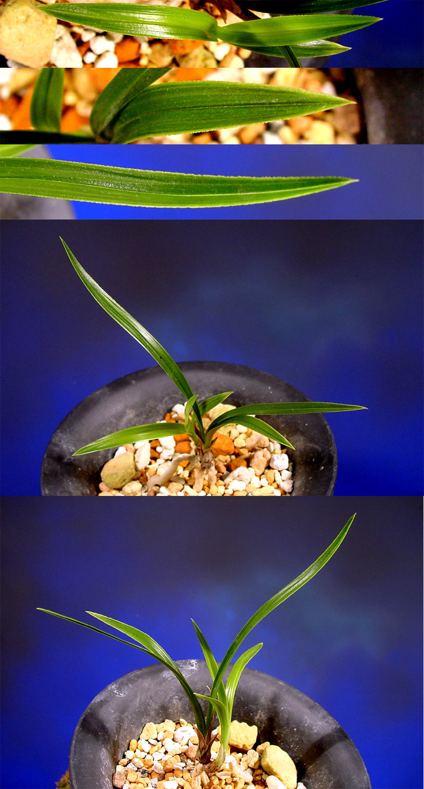 ������ ū������ �� �� �ֽ��ϴ�.