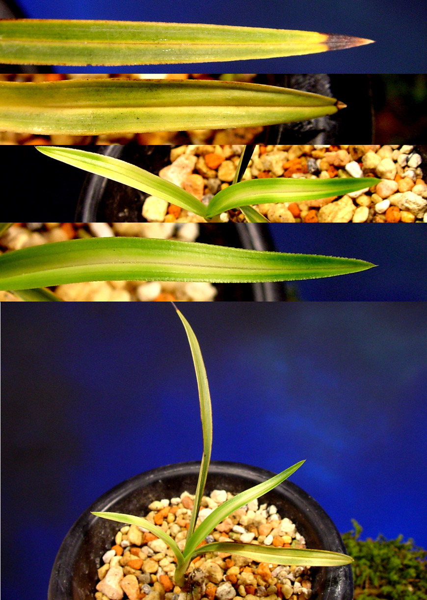 ������ ū������ �� �� �ֽ��ϴ�.