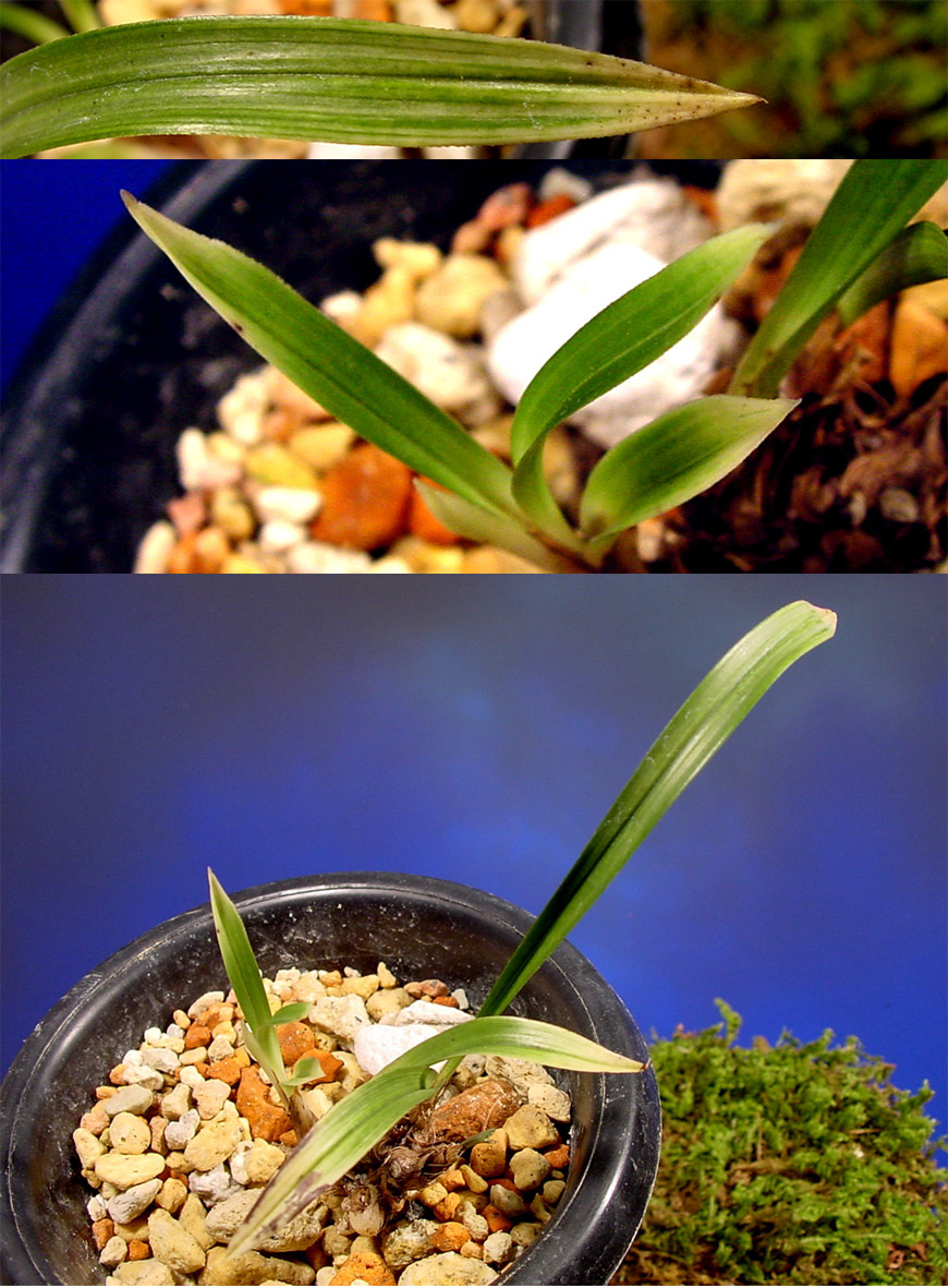 ������ ū������ �� �� �ֽ��ϴ�.